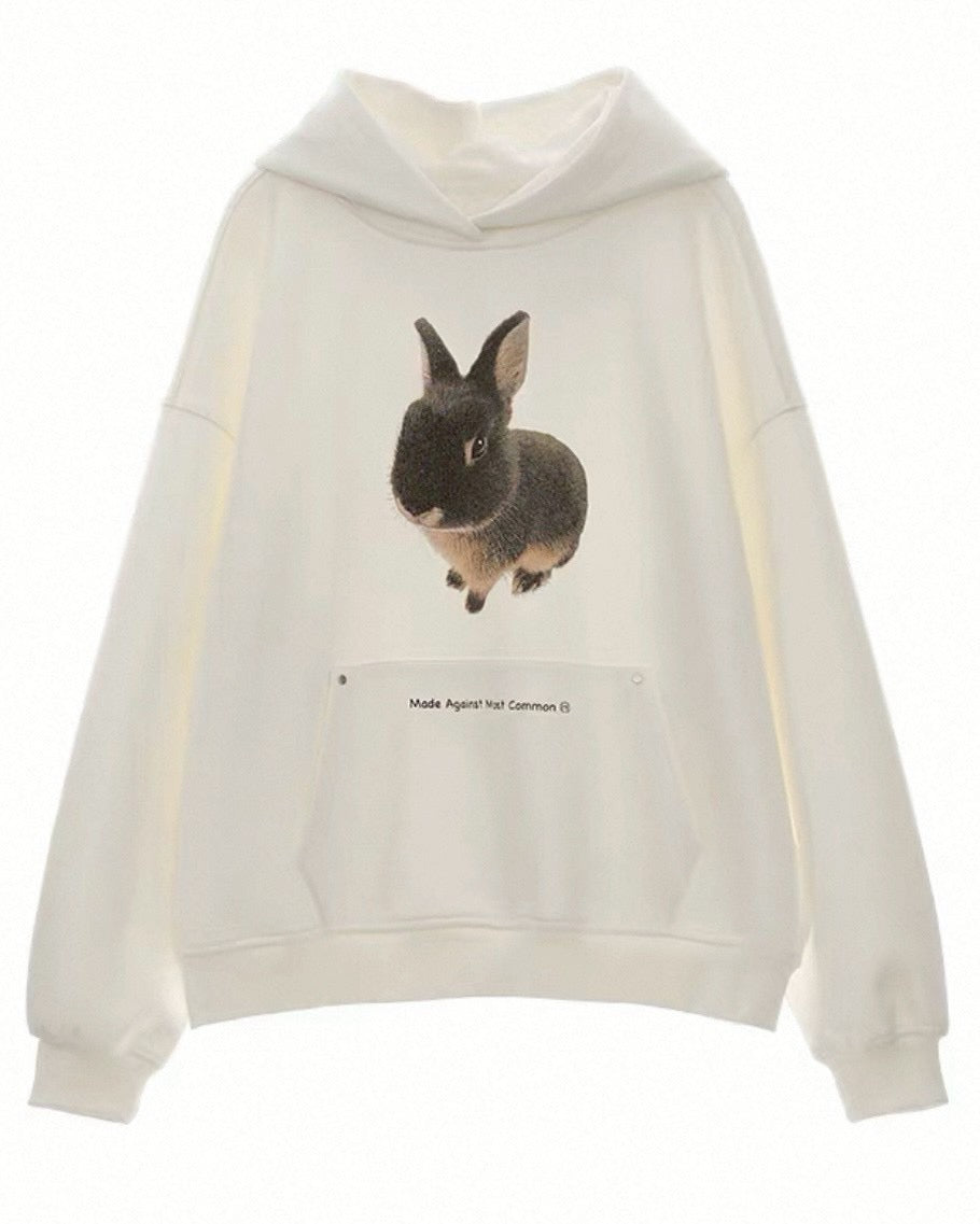 ラビットトレーナー