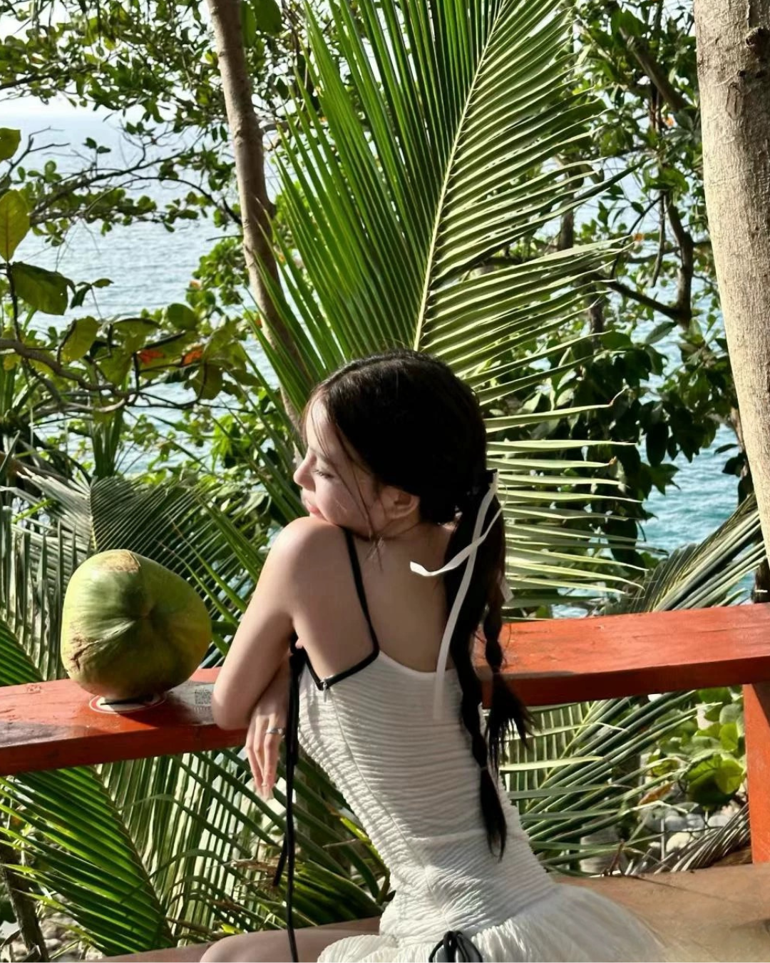 Tropic Muse swimwear